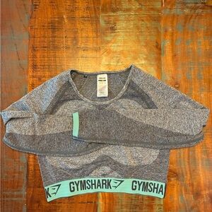 Gymshark Heather Gray and Mint